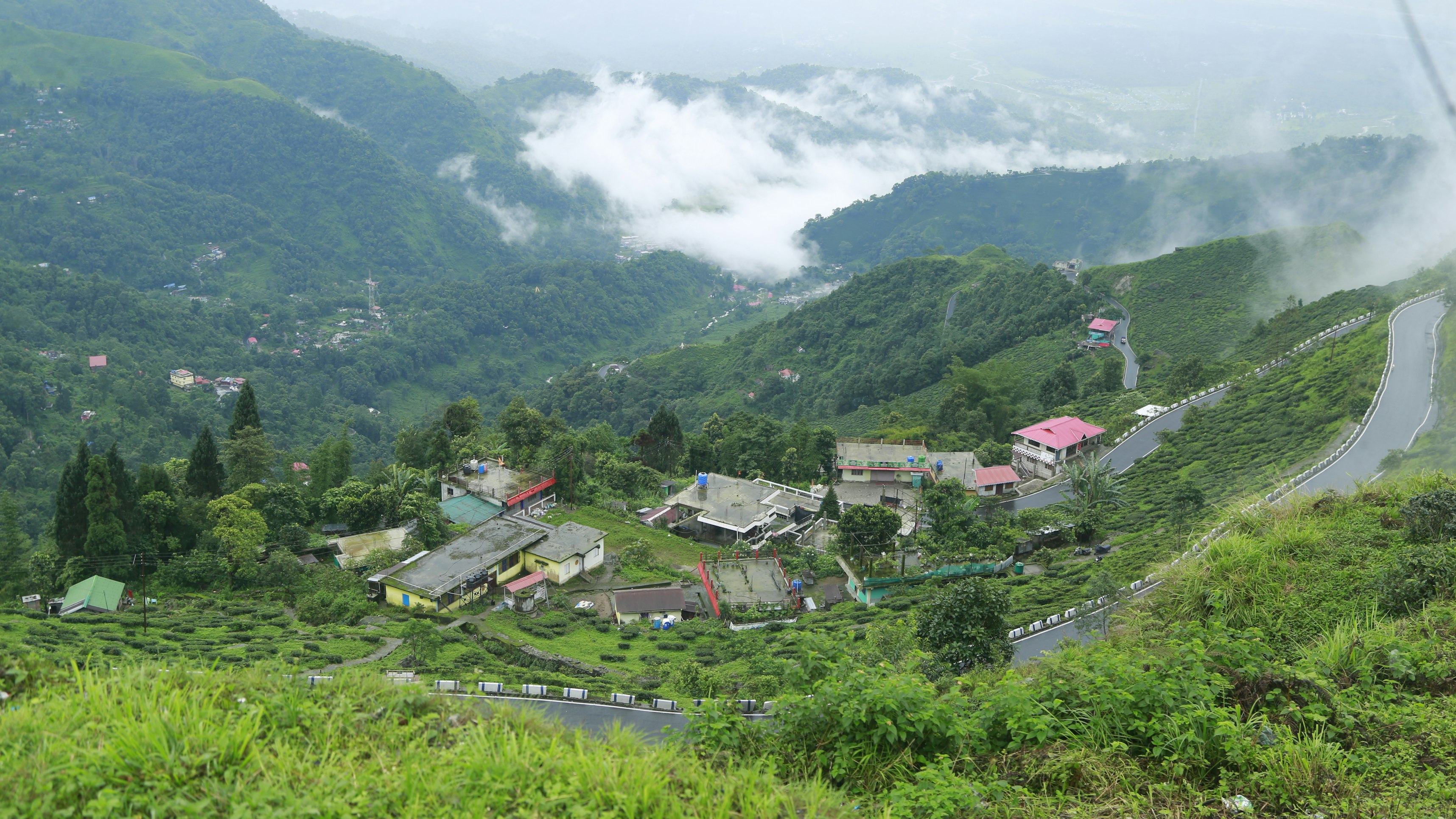 Darjeeling tea gardens in rains with mist-laden skies