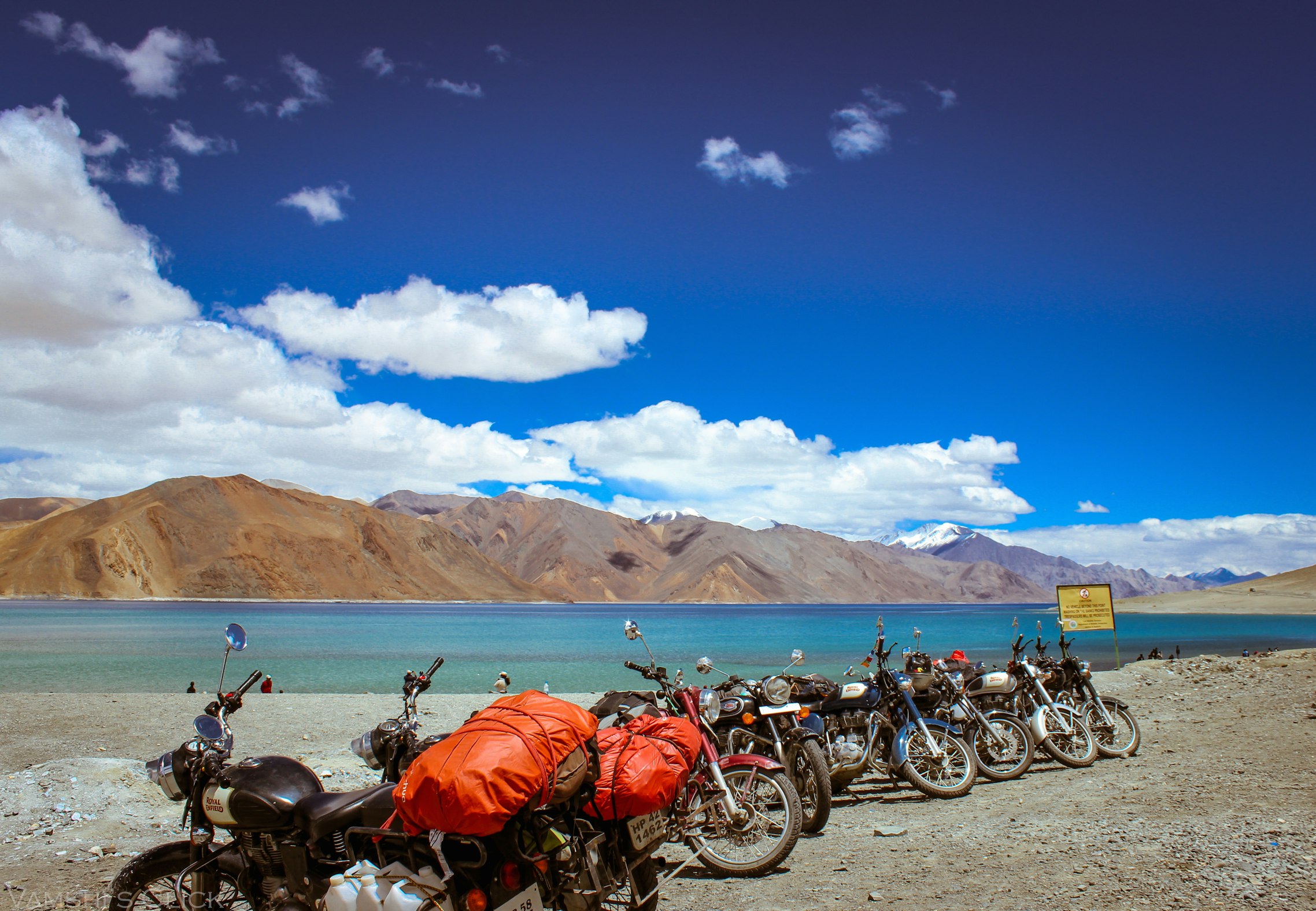 Mountain bikers near Pangong Lake or the vibrant Hemis Festival in Ladakh