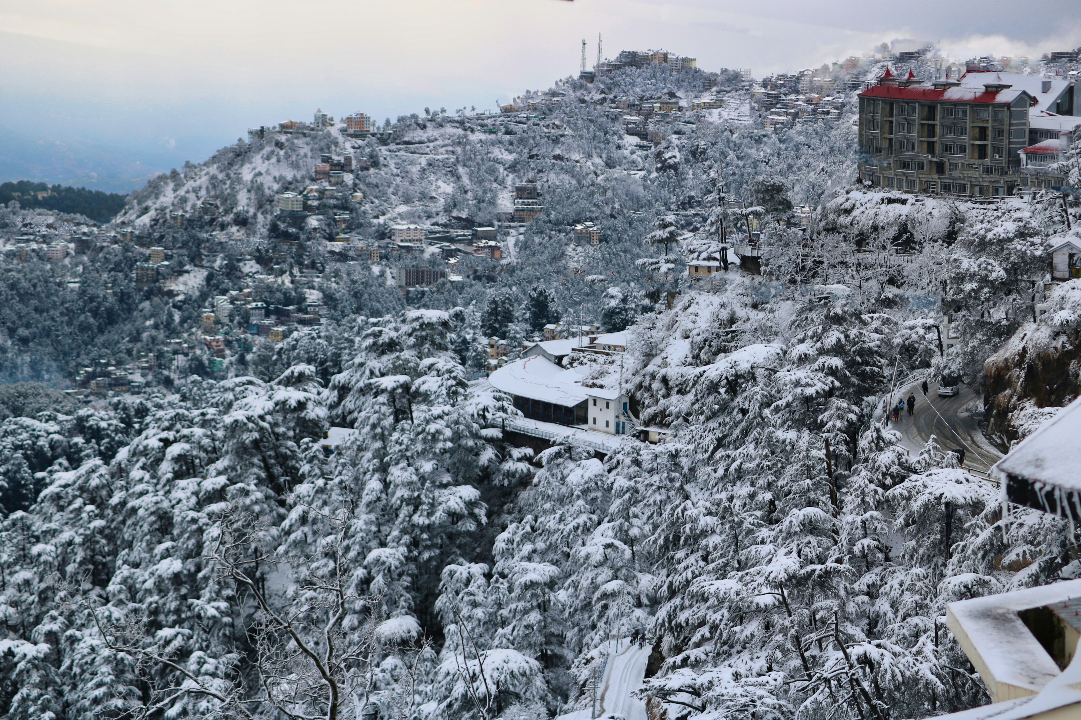 Shimla town covered in snow or greenery
